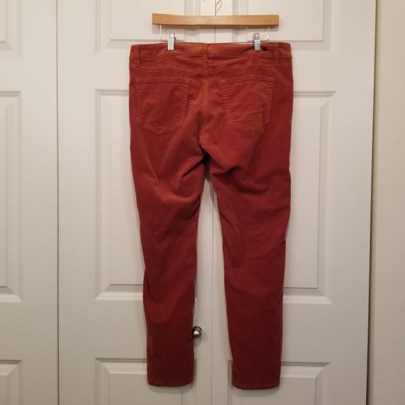 CAbi #146 Limited Edition "FanciFALL" Super Skinny Copper Cords - Picture 3 of 11